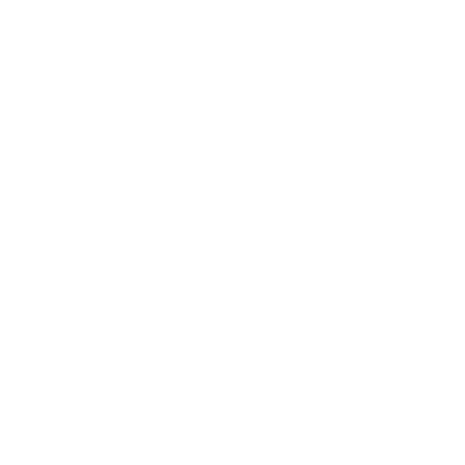 Secure connection icon